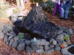 20080129_1794182098_findling_9