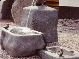 20080129_1944017307_froschbrunnen